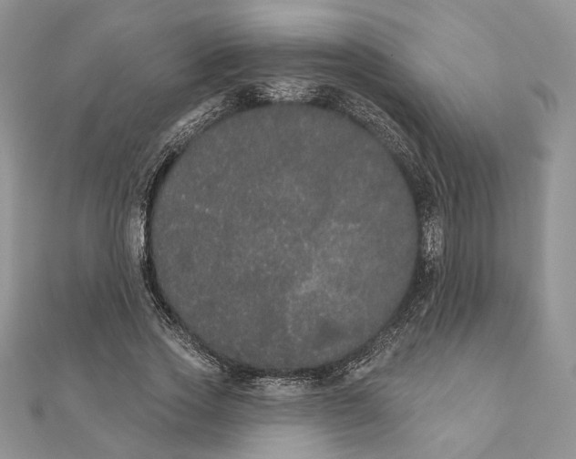 X0000111440733200908031352