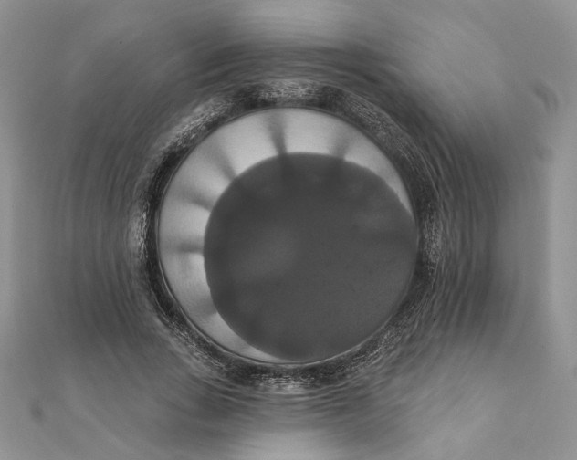 X0000111440735200908031352