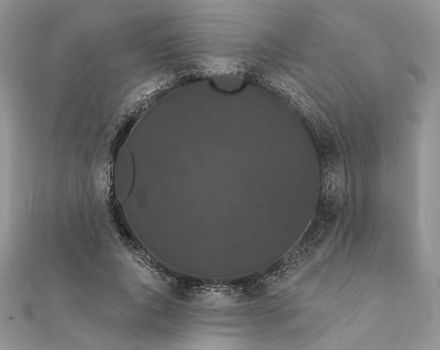 X0000111440736200908031352