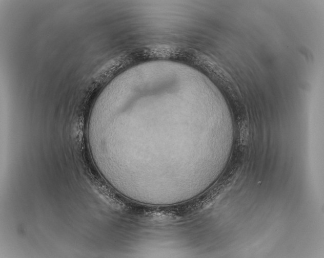 X0000111440737200908031352