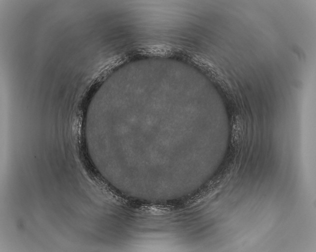 X0000111440739200908031352