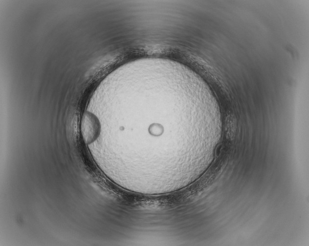 X0000111440740200908031352