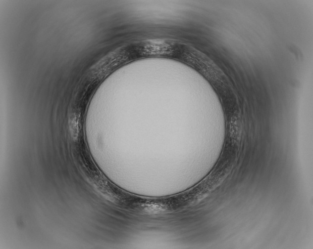 X0000111440741200908031352