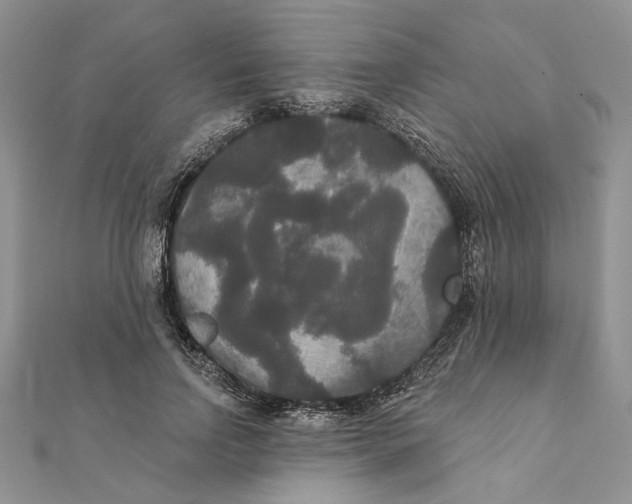 X0000111440742200908031352