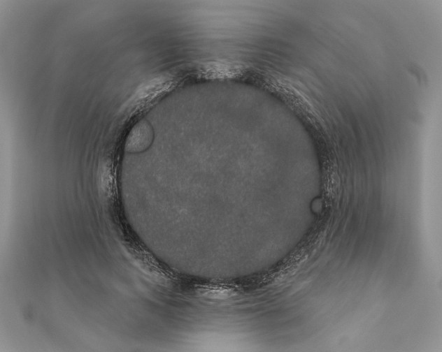 X0000111440743200908031352