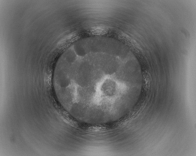 X0000111440745200908031352