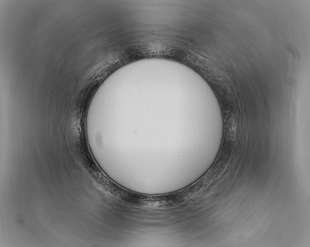 X0000111440746200908031352