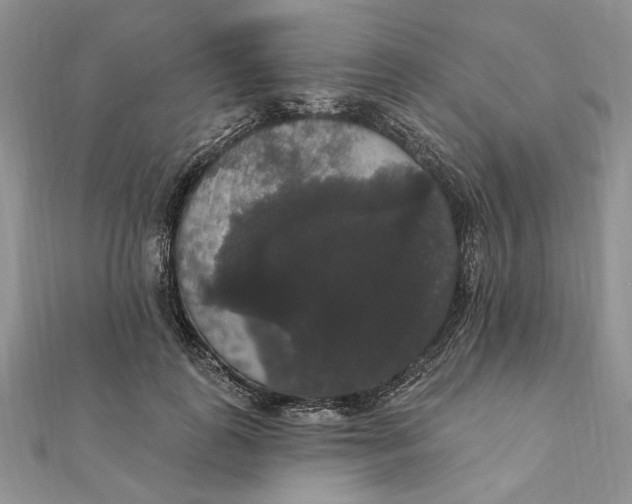 X0000111440747200908031352