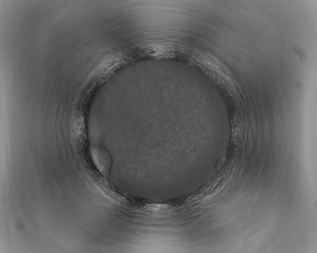 X0000111440748200908031352