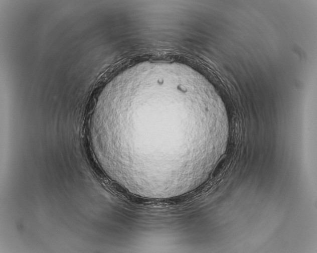 X0000111440750200908031352