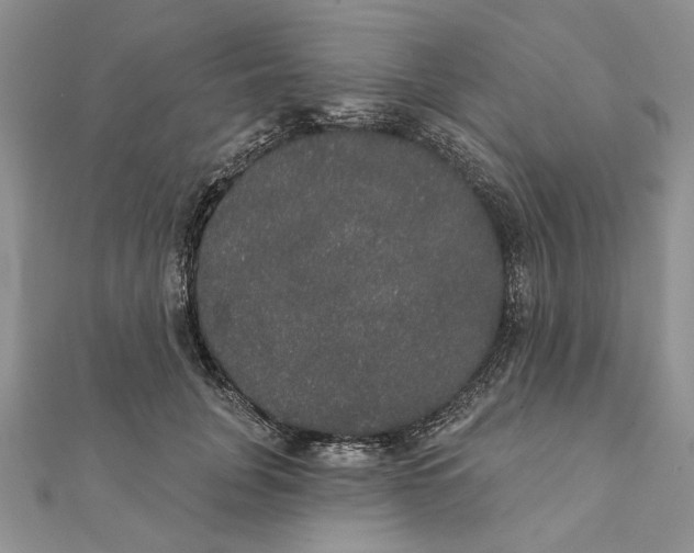 X0000111440751200908031352