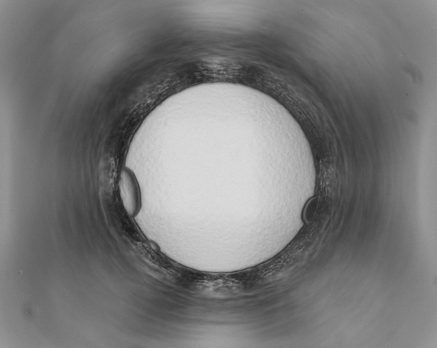 X0000111440752200908031352