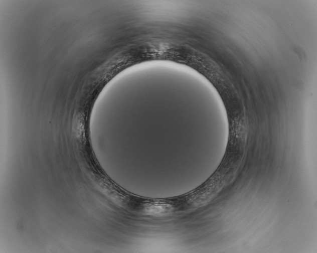 X0000111440754200908031352