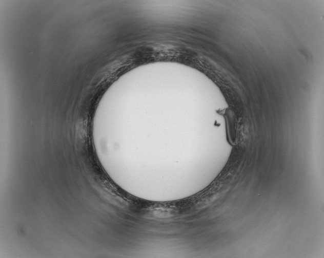 X0000111440756200908031352