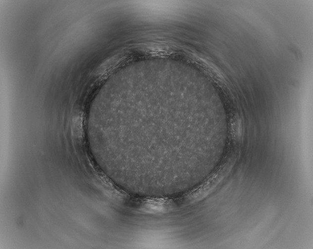 X0000111440757200908031352