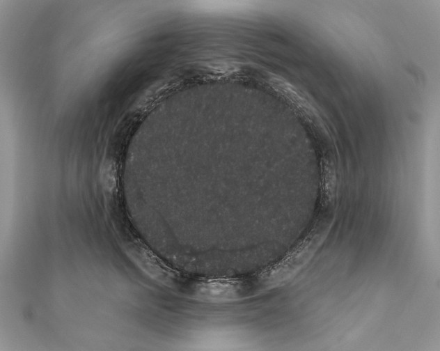 X0000111440758200908031352