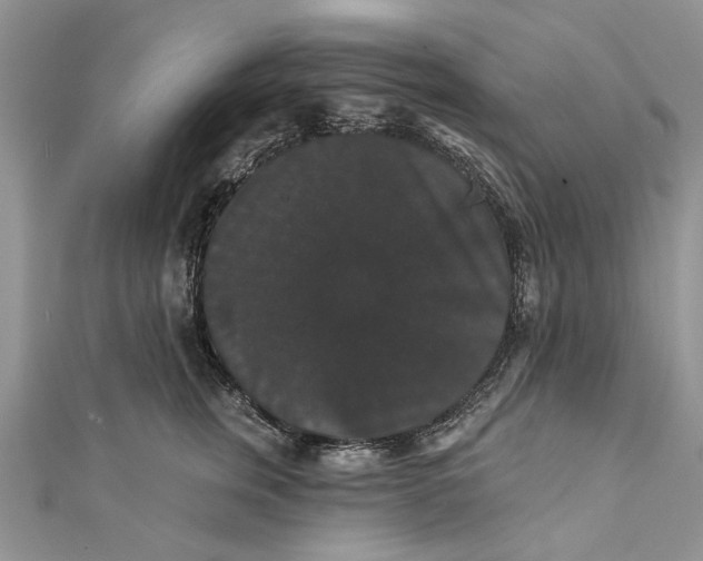 X0000111440759200908031352