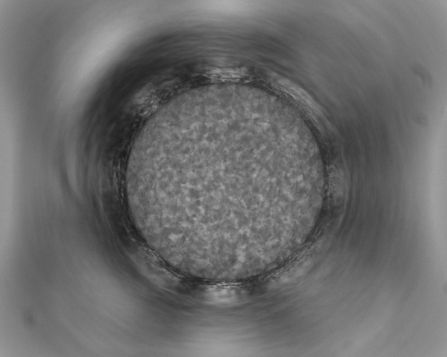 X0000111440761200908031352