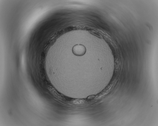 X0000111440762200908031352