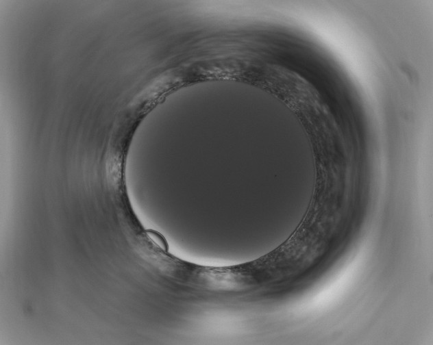 X0000111440767200908031352