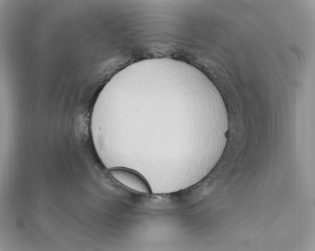 X0000111440768200908031352