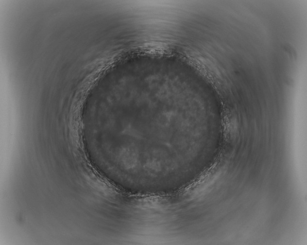 X0000111440769200908031352