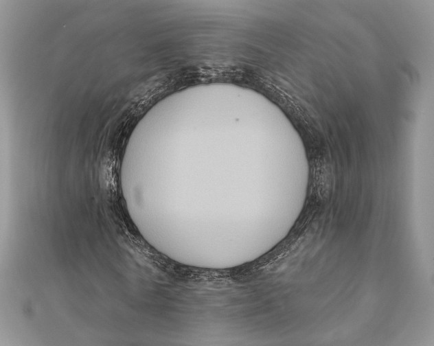 X0000111440770200908031352