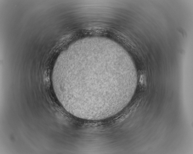 X0000111440771200908031351