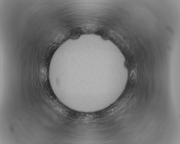 X0000111440772200908031351