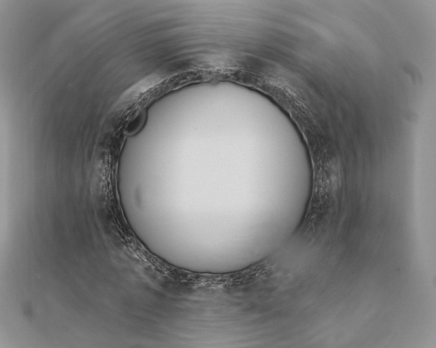 X0000111440773200908031351