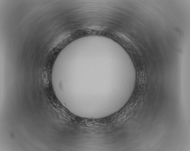 X0000111440774200908031351