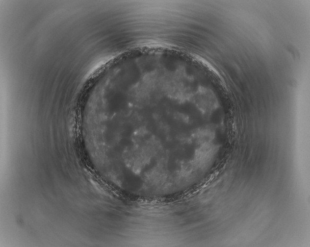 X0000111440775200908031351