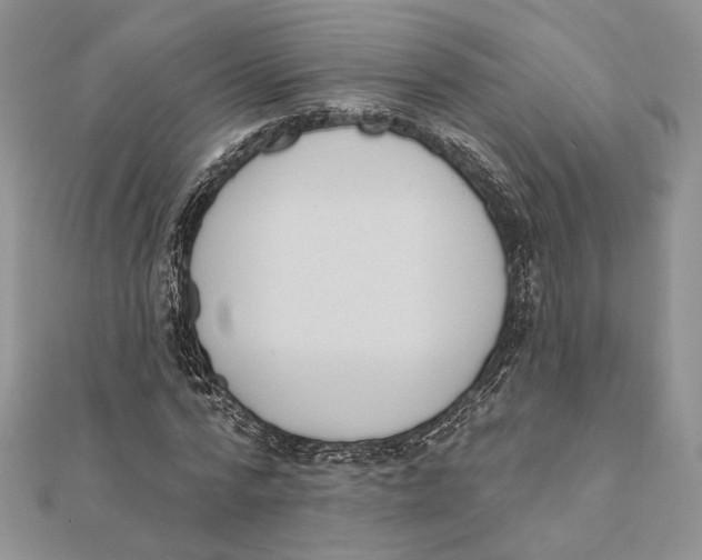 X0000111440776200908031351