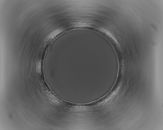 X0000111440777200908031351