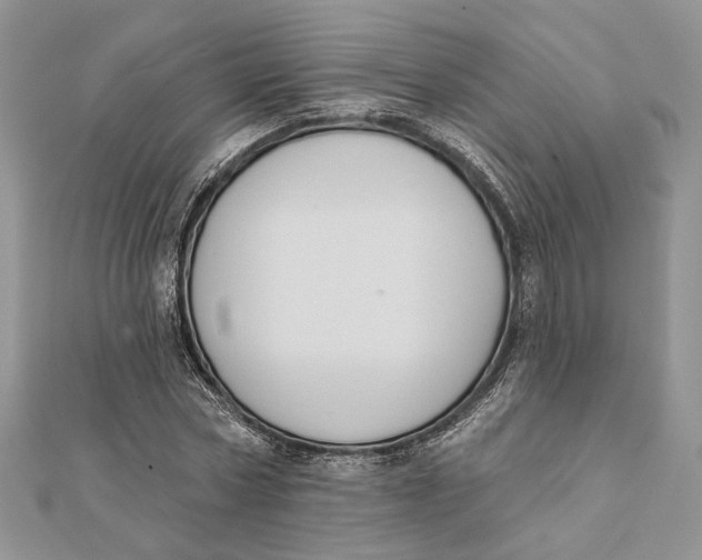 X0000111440778200908031351