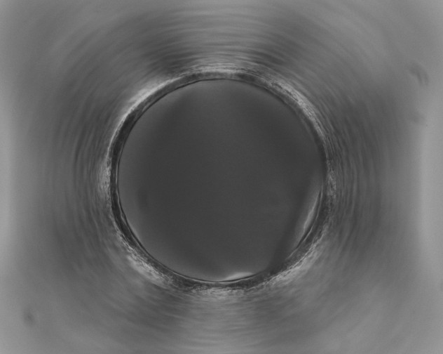 X0000111440779200908031351