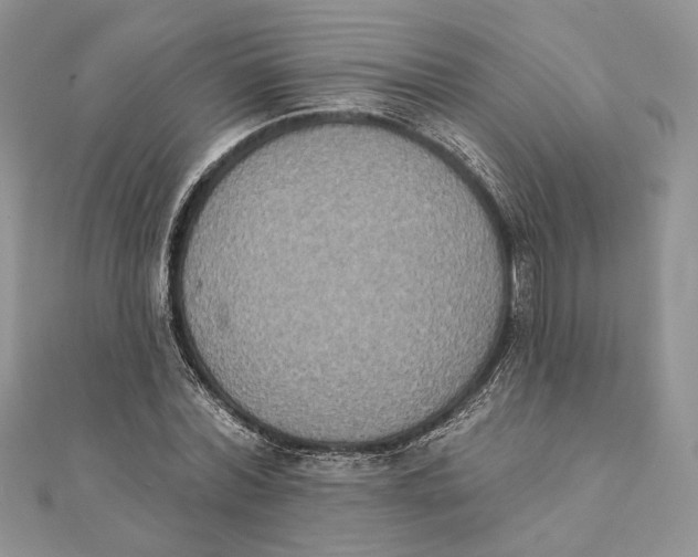 X0000111440780200908031351