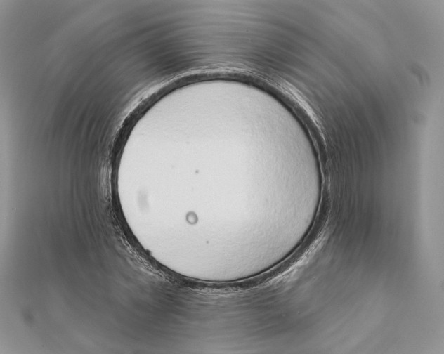 X0000111440781200908031351