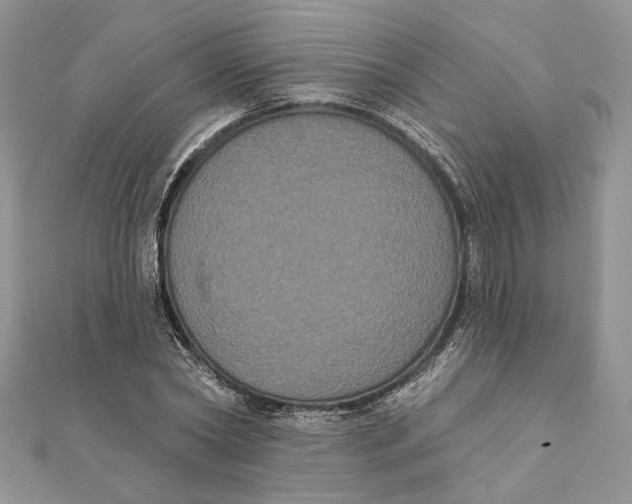 X0000111440782200908031351