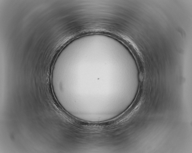 X0000111440785200908031351