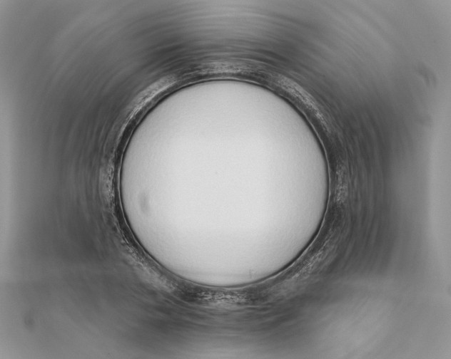 X0000111440786200908031351