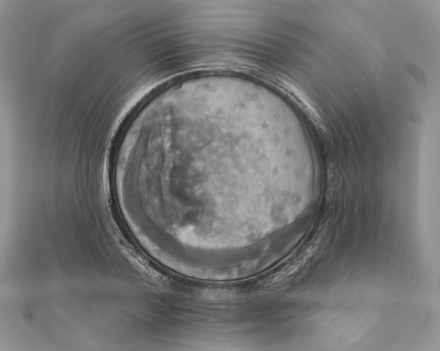 X0000111440788200908031351