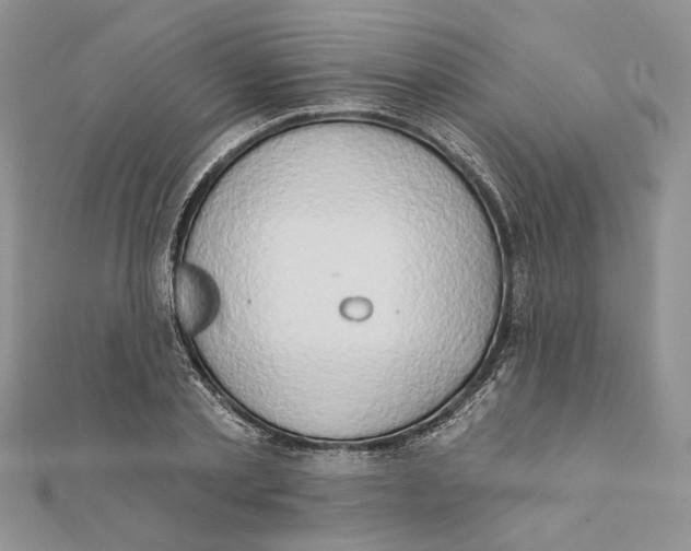 X0000111440789200908031351