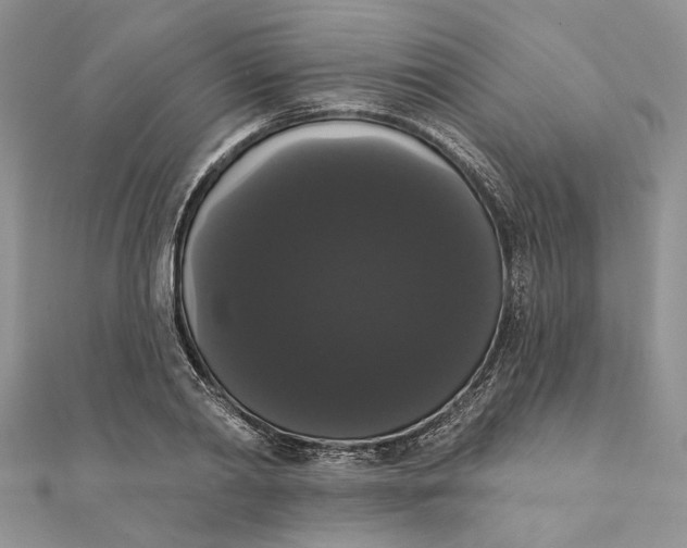 X0000111440790200908031351