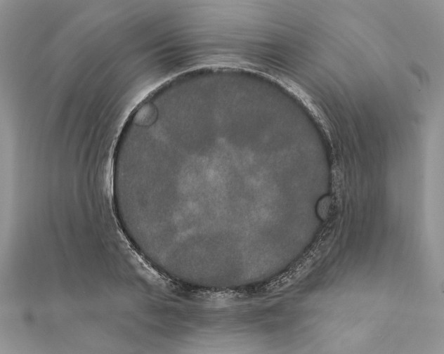 X0000111440791200908031351