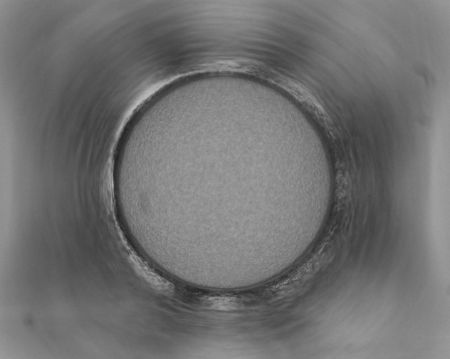 X0000111440792200908031351