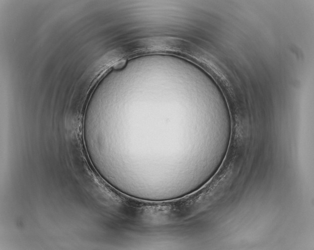 X0000111440793200908031351