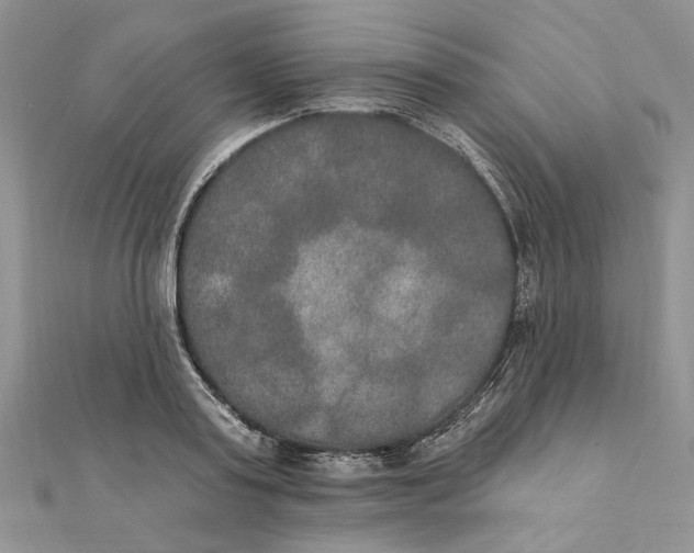 X0000111440795200908031351