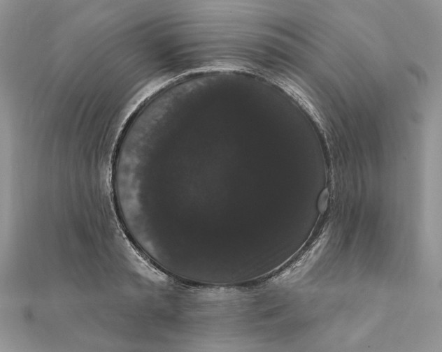 X0000111440797200908031351