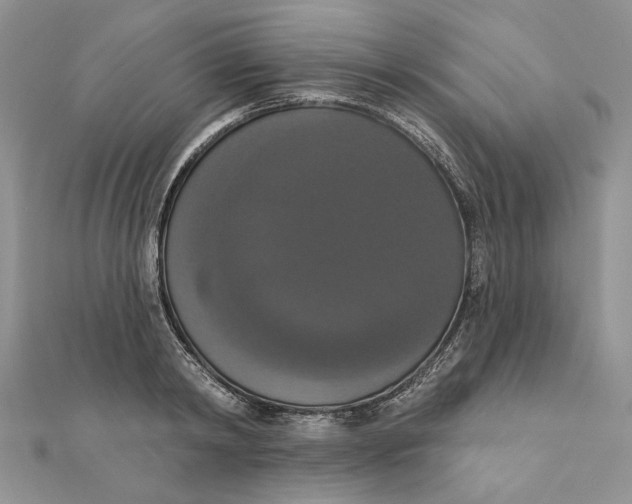 X0000111440798200908031351